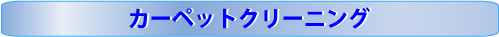 カーペットクリーニング・絨毯クリーニング