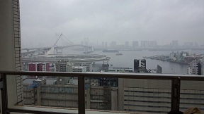 港区芝浦アイランドケープタワーでのハウスクリーニング2