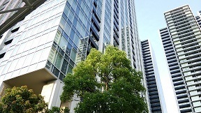 港区ワールドシティタワーズアクアタワーでのハウスクリーニング1