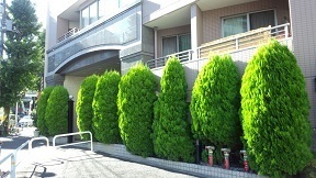 クリオ目白台壱番館１